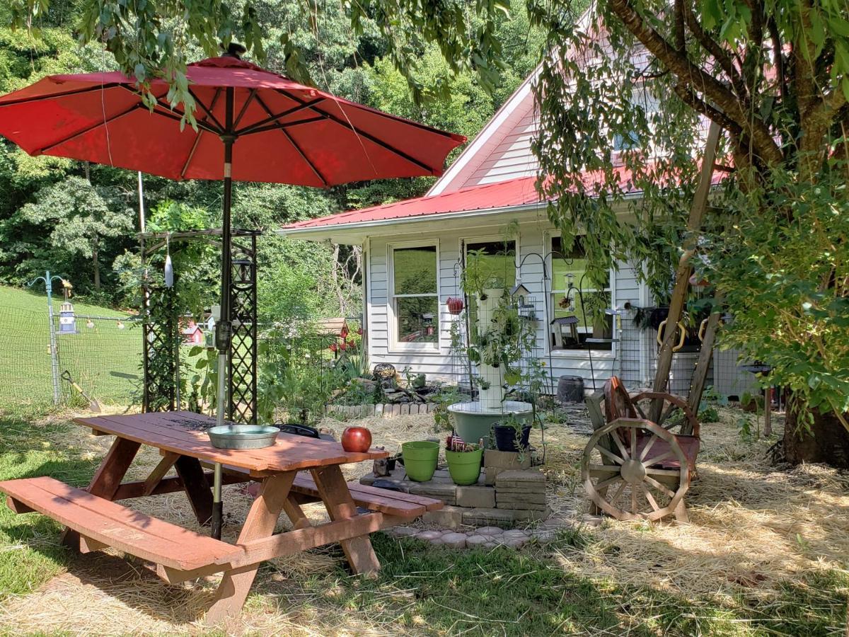 Blue Ridge Manor Bed And Breakfast Fancy Gap Buitenkant foto